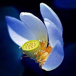 《艾尔登法环》成美国2月最赚钱的游戏